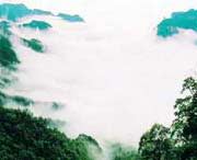 咸宁后天天气